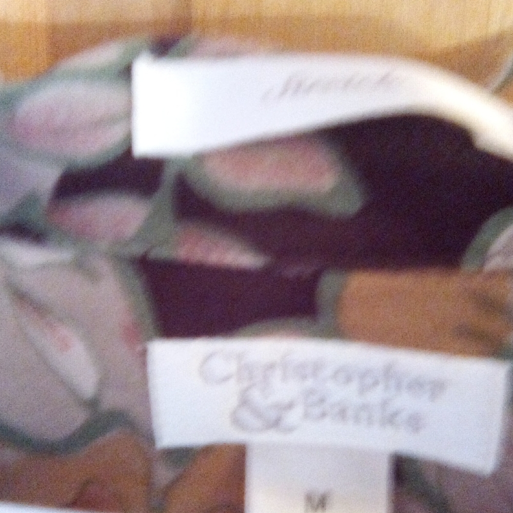 Christopher & Banks Floral Button Down Shirt - Pink and Green